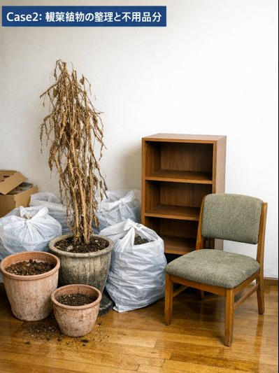 室内の観葉植物と古い家具を回収している作業風景